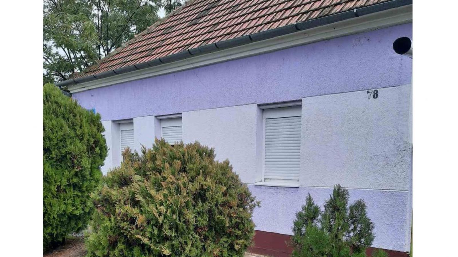 Megújulás minden téren