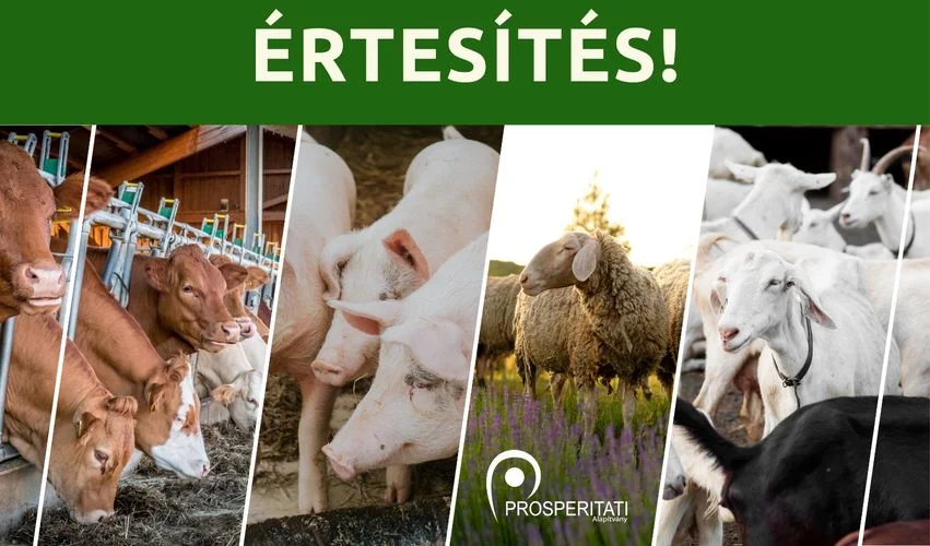 Értesítés