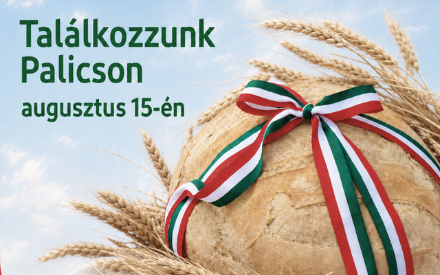 KÖZÖS MÚLT, KÖZÖS ÉRTÉKEK, KÖZÖS JÖVŐ