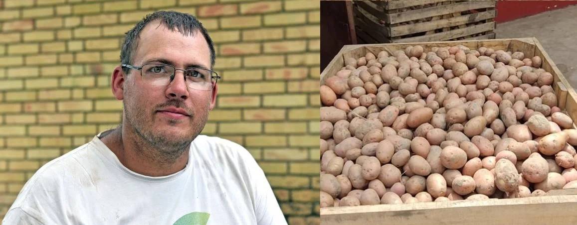 A homokon termett krumpli szebb