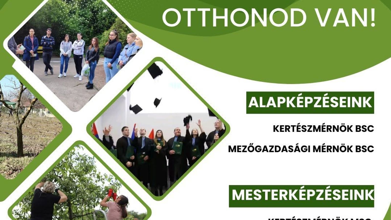 30 ÉVE A VAJDASÁGI FIATALOKÉRT
