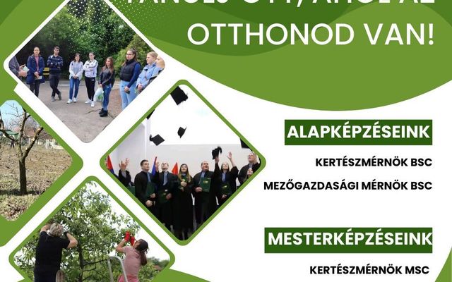 30 ÉVE A VAJDASÁGI FIATALOKÉRT