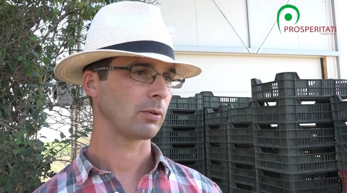 Zöldség ,,zölden”, avagy garantáltan vegyszermentes minőség
