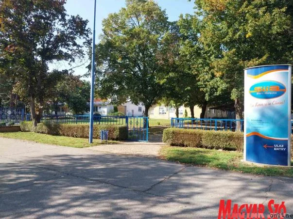 Az apáról fiúra szálló tudás és a kapcsolati tők