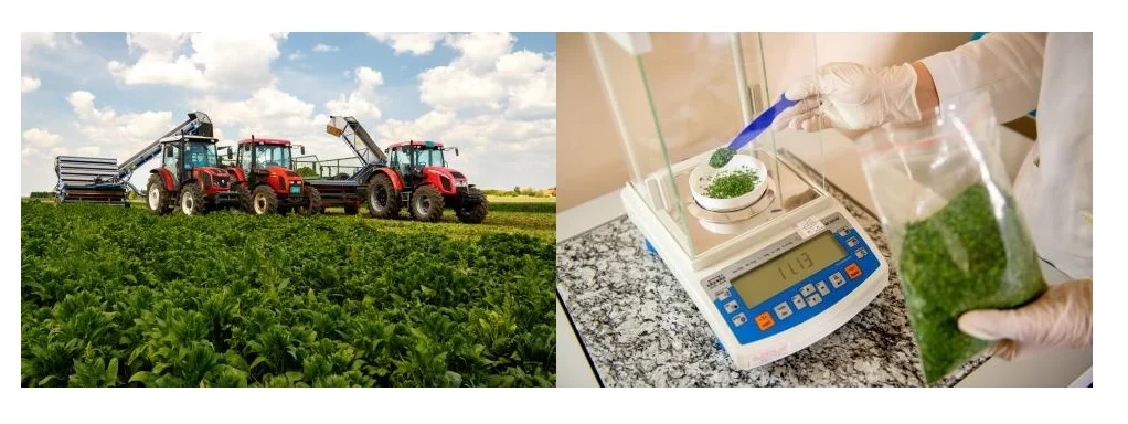 Tudni kell lépést tartani!