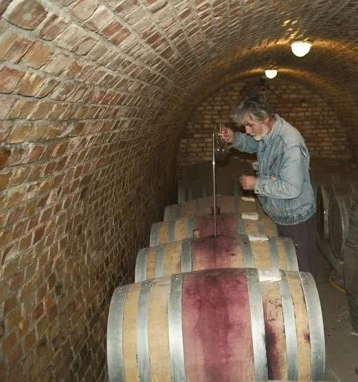 Somogyi Pincészet, Nagybecskerek