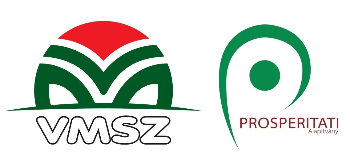 HATÁROZAT A VAJDASÁGI MAGYAR KÖZÖSSÉG TERÜLET- ÉS GAZDASÁGFEJLESZTÉSI STRATÉGIÁJA 2026–2033 TERVEZETÉNEK KÖZVITÁRA BOCSÁTÁSÁRÓL